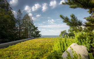 The right side of this green roof merges directly with the natural landscape on the same level. Source: Brett Ryan Studios, Vancouver Extensive green roof